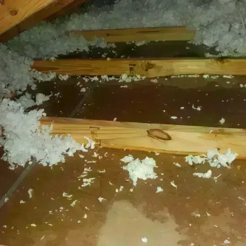 Attic Water Damage in Hanceville, AL